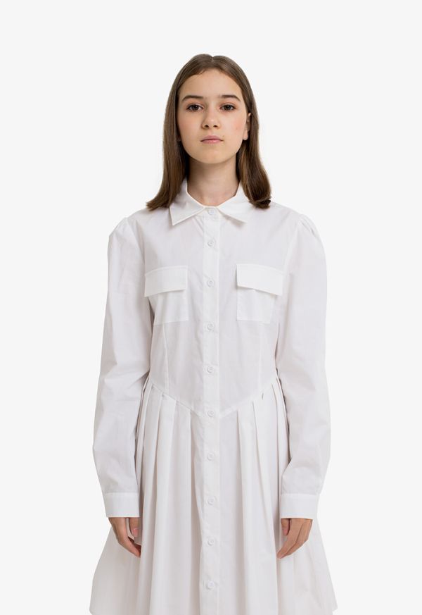 Classic Buttoned Pleated Shirt Dress