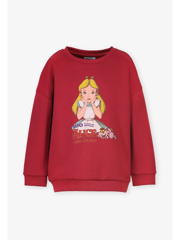 Alice in wonderland online sweatshirt zara