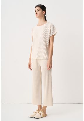 Solid Wide Legs Pleated Trouser