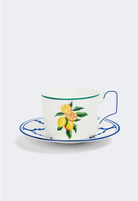 Bone China Cups & Saucer