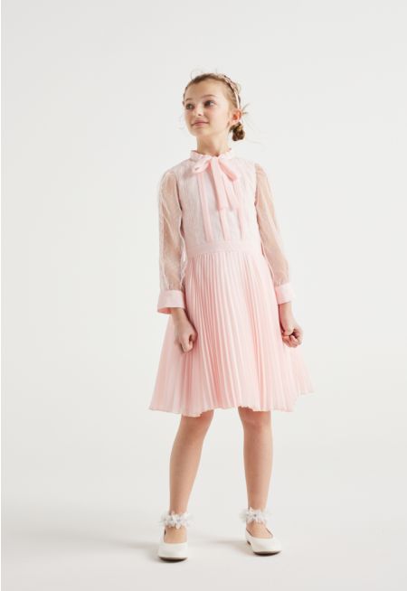 Mesh Sleeved Pleated Skirt Dress